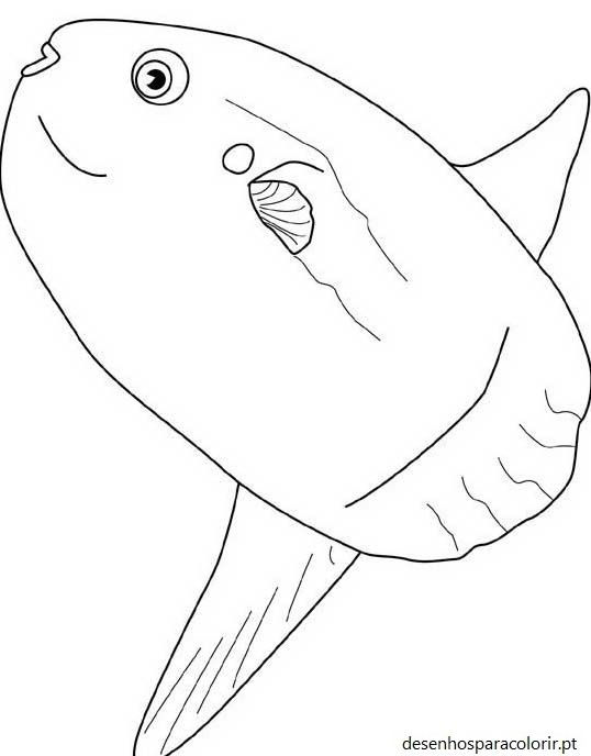 Desenhos de peixes 52